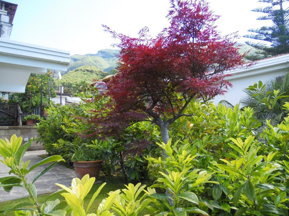 Villa Bianca Castellammare di Stabia Eksteriør billede