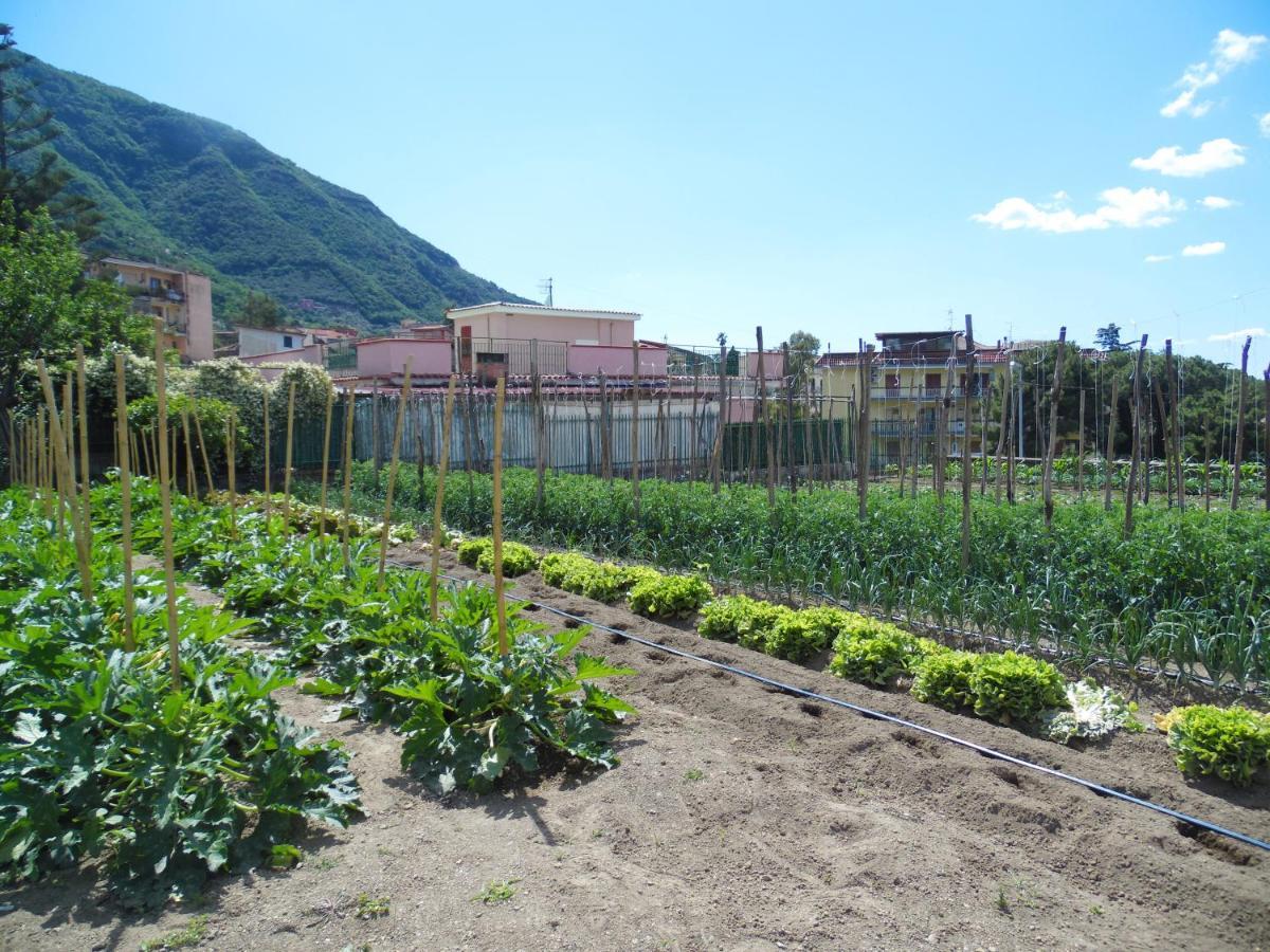 Villa Bianca Castellammare di Stabia Eksteriør billede